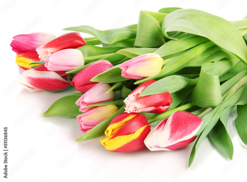 Beautiful tulips in bucket isolated on white