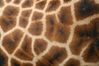 piel de jirafa