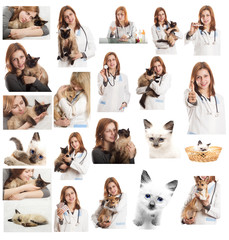 Wall Mural - Veterinary doctor