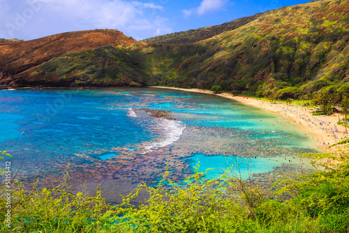 Fotoboard na płycie Hanauma bay, oahu, hawaii - znana z nurkowania z rurką