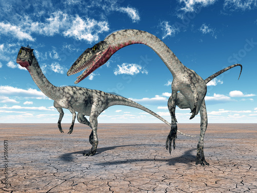 Naklejka samoprzylepna Koofofia dinozaura