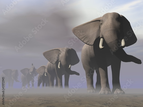 Tapeta ścienna Słonie z rzędu - 3d render
