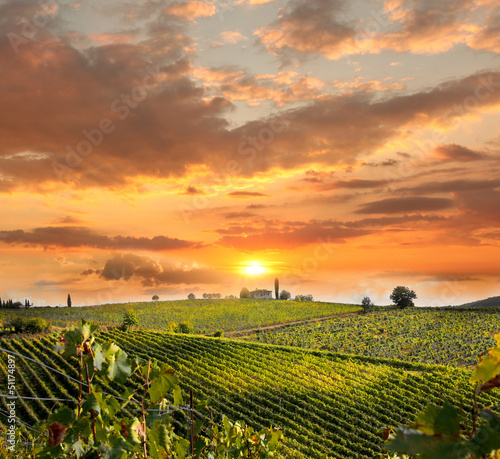 Nowoczesny obraz na płótnie Chianti, famous vineyard in Italy