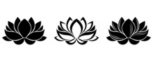 Set Of Three Silhouettes Of Lotus Flowers. Vector Illustration.