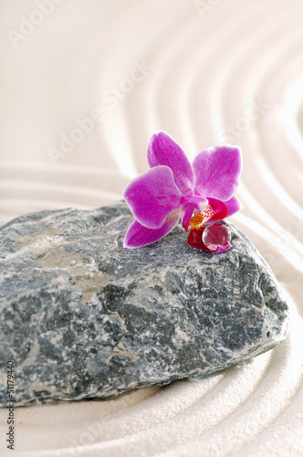 Naklejka na szybę Orchidee auf Stein mit Sandspuren