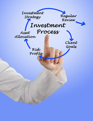 Canvas Print - Investment process