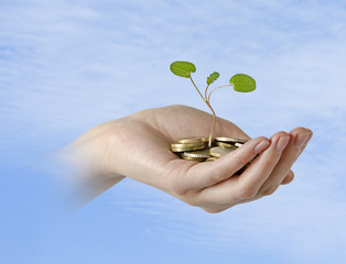 Investing to green business