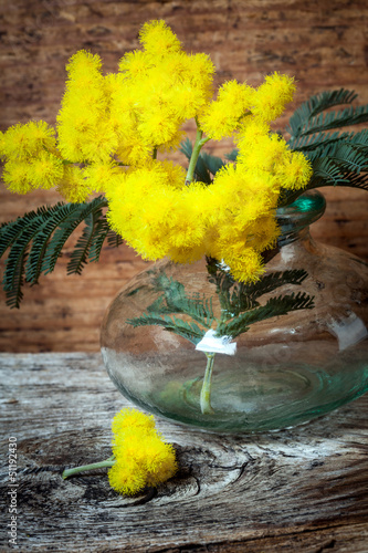 Fototapeta na wymiar vasetto in vetro con mimosa