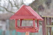 Drewniany domek dla ptaszków w ogrodzie