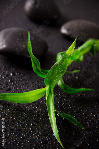 Board z aluminiowym obramowaniem Spa martwa natura z zielonym bambusem