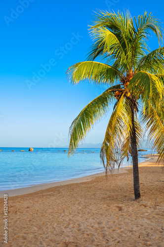 Plakat na papierze fotorealistycznym Tropikalna plaża