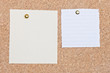 © Kelly - Two memo notes on a cork bulletin board