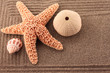 Zen Sand Garden with Starfish and Sea Urchin