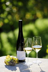 Sticker - Two glasses of white wine (Riesling) and bottle in vineyard