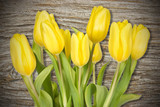 Fototapeta Tulipany - Tulips on the wooden wall background