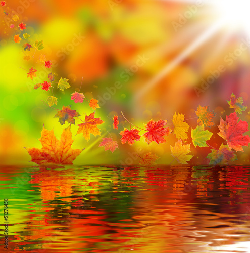 Obraz w ramie Bunte Herbstblätter, Herbsthintergrund