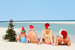 © Monkey Business - Family Sitting On Beach With Christmas Tree And Hats