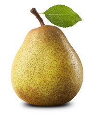 Canvas Print - Ripe pear