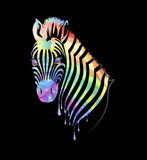 Fototapeta Konie - Colored abstract zebra on black background