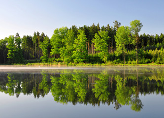 Wall Mural - spring landscape with pond in czech republic