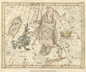 Wall Mural - astronomical chart vintage
