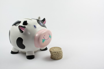 piggy bank cow with coins