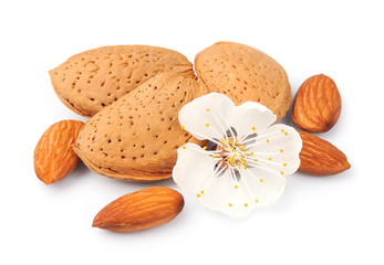 Poster - Almonds with flowers