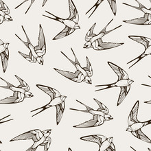 Swallow Bird Pattern