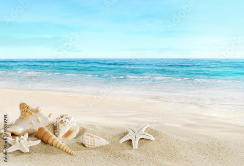 Naklejka na kafelki Krajobraz tropikalnej plaży z muszelkami