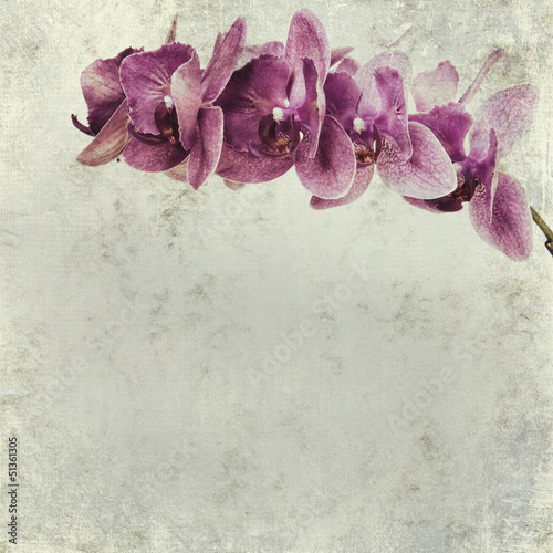 Board z aluminiowym obramowaniem Textured stary papierowy tło z magenta phalaenopsis orchideą