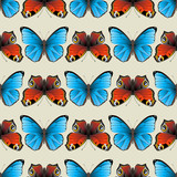Fototapeta Motyle - seamless butterfly ornament