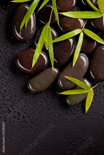 Fototapeta na wymiar Spa stones with bamboo sprouts with dew drops