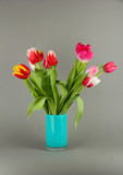 Fototapeta Tulipany - Beautiful tulips in bucket on grey background