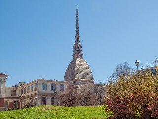 Wall Mural - Mole Antonelliana Turin