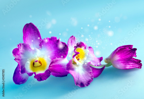 Board z aluminiowym obramowaniem Magiczna orchidea kwiatowa