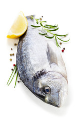 Wall Mural - fresh dorada fish