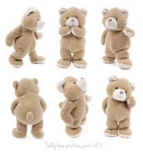 Teddy Bear Positions Part 1 Of 3