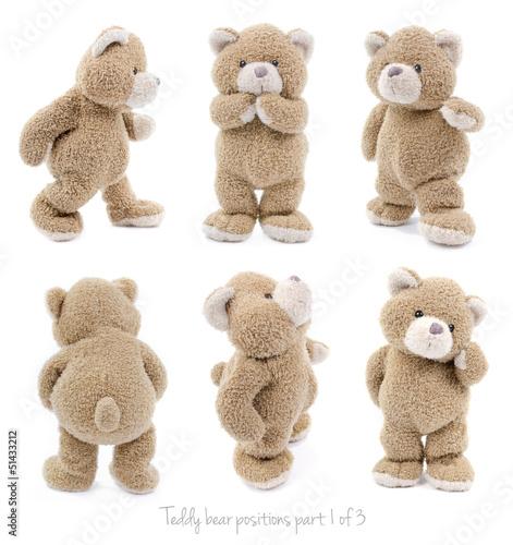 Fototapeta na wymiar Teddy bear positions part 1 of 3