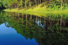 Reflection Of Lake In  Pang Ung Forestry Plantations, Maehongson