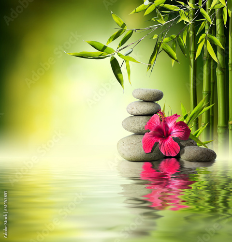 Fototapeta do kuchni Stones, red hibiscus and Bamboo on the water