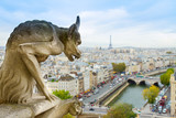 Fototapeta Paryż - Gargoyle of  Paris