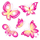 Fototapeta Motyle - butterfly,butterflies vector