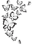 Fototapeta Dziecięca - butterfly,butterflies
