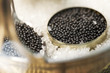 Black caviar in small round metal tin on ice