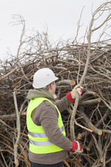 Sticker - Worker with a branch in hands at the big pile of twigs