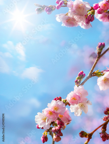 Naklejka dekoracyjna abstract floral spring background