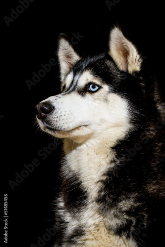 Board z aluminiowym obramowaniem Husky portret im