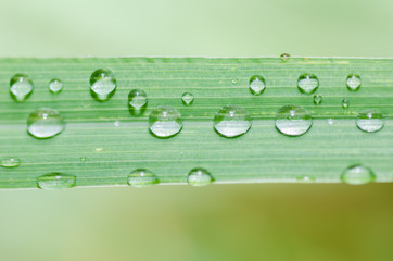 Water drops