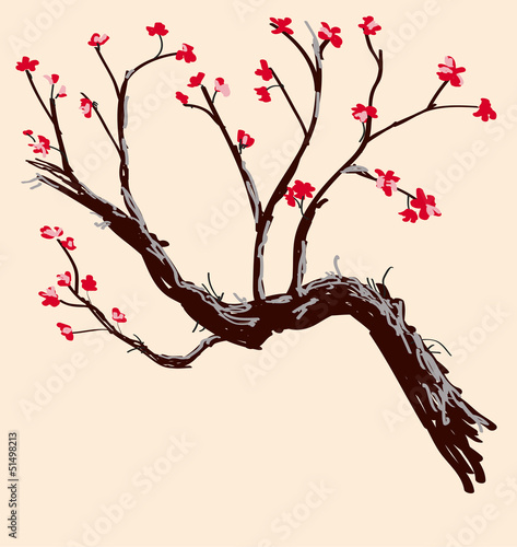 Board z aluminiowym obramowaniem Sakura. 