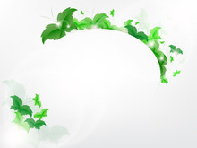 Environmental Background With Green Leaf Butterflies